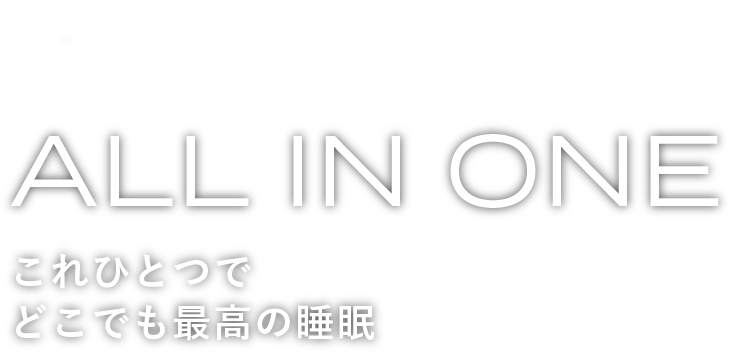 Brain Sleep ALL IN ONE ロゴ