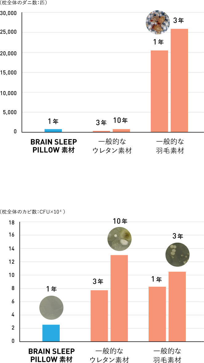 ■長期使用枕のダニの量｜■長期使用枕で繁殖したカビ量