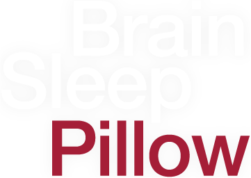 Brain Sleep Pillow